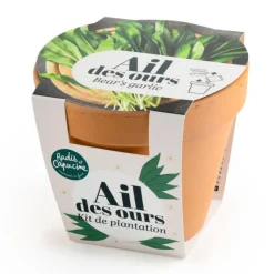 Pot en terre cuite antique avec graines d’ail des ours bio Radis & Capucine
