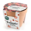 Pot en terre cuite antique avec graines de tomate cerise bio Radis & Capucine
