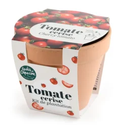 Pot en terre cuite antique avec graines de tomate cerise bio Radis & Capucine