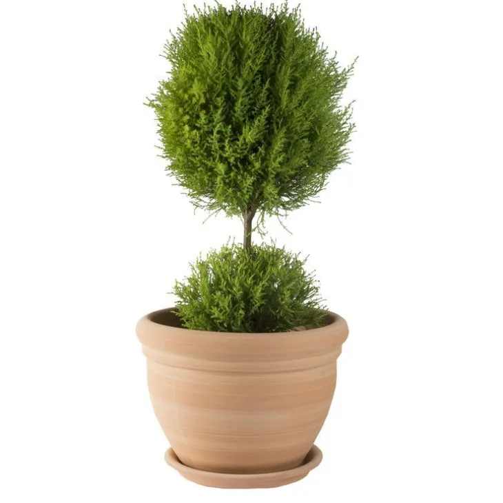 Pot gamme Coco Ø 34 cm