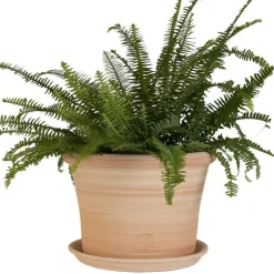 Pot rond Cocio Lisio en terre cuite claire – D30x H22