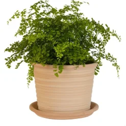 Pot strié gamme cocio liso Ø 30 cm
