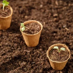 Pot tourbe coloris marron Ø 6 cm