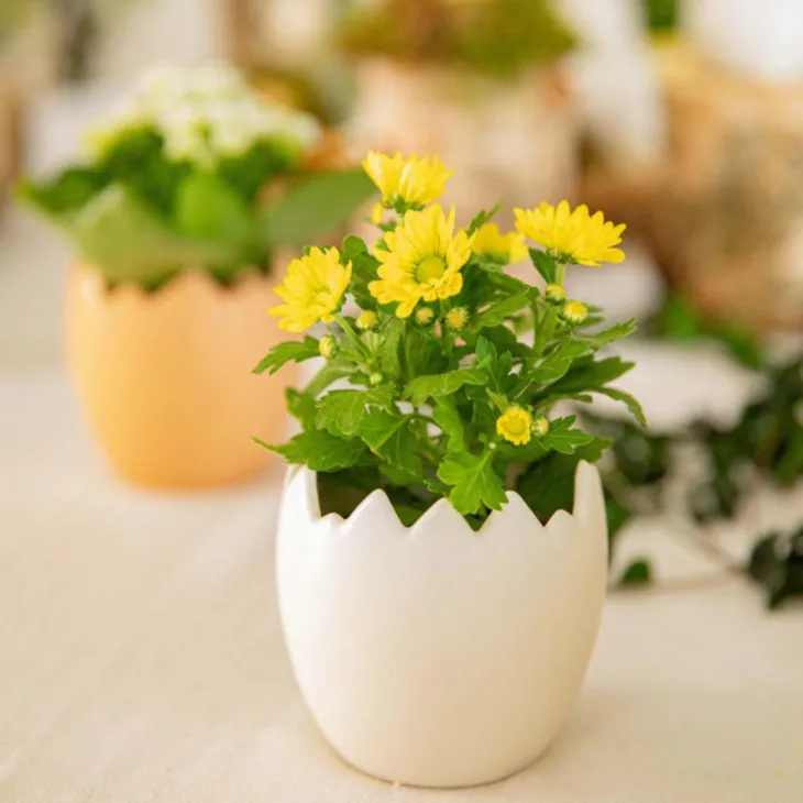 Pot œuf coloris blanc dolomite - Ø 8 cm