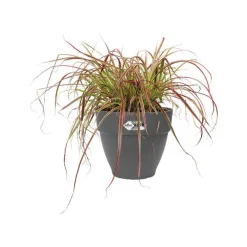 Pot vibia campana rond Elho de 46 L coloris noir Ø 47 x H 40 cm