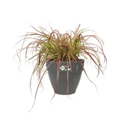 Pot vibia campana rond Elho de 3,2 L coloris noir Ø 20 x H 16,7 cm