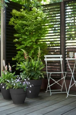 Pot vibia campana rond Elho de 3,2 L coloris noir Ø 20 x H 16,7 cm