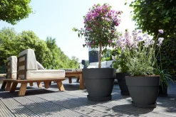 Pot vibia campana rond Elho de 3,2 L coloris noir Ø 20 x H 16,7 cm