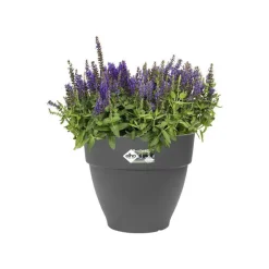 Pot vibia campana rond Elho de 26 L coloris noir Ø 35 x H 29 cm