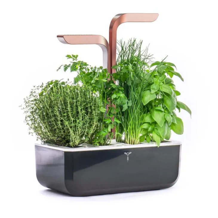 Potager d'intérieur autonome Véritable® SMART Black Copper - livré avec 4 lingots
