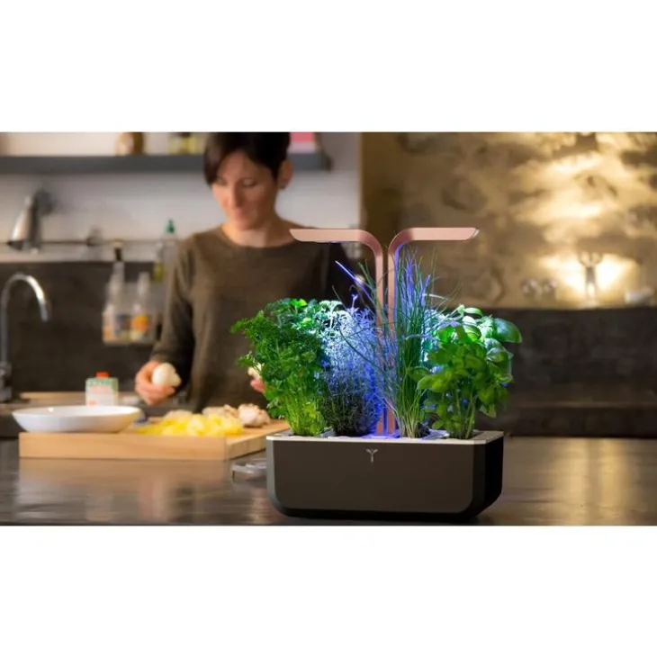 Potager d'intérieur autonome Véritable® SMART Black Copper - livré avec 4 lingots