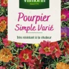 Pourpier Simple varié Vilmorin - graines à semer