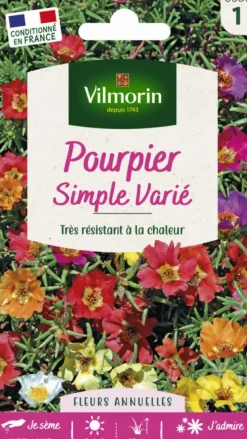 Pourpier Simple varié Vilmorin - graines à semer
