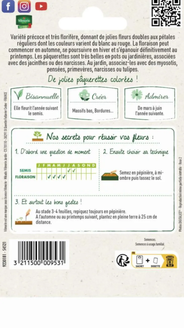 Pâquerette Tapis varié Vilmorin - graines à semer