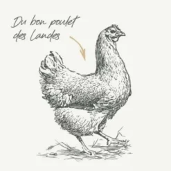 Pâtée pour chat au poulet terrine Bab'in Signature - 80 g