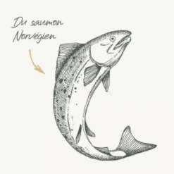 Pâtée pour chat au saumon terrine Bab'in Signature - 80 g