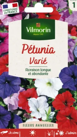 Pétunia varié Vilmorin - graines à semer