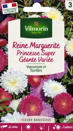 Reine Marguerite Princesse Super Géante Variée Vilmorin - graines à semer