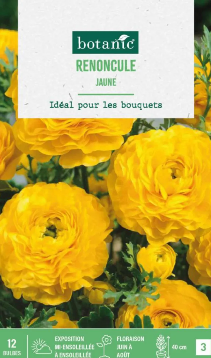 Renoncule coloris jaune botanic® - 12 bulbes