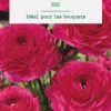 Renoncule coloris rose botanic® - 12 bulbes