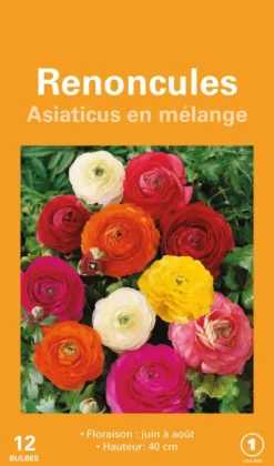 Renoncule en mélange botanic® - 12 bulbes