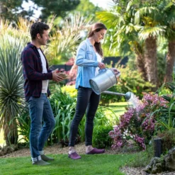 Sabots Marschal Blackfox Framboise