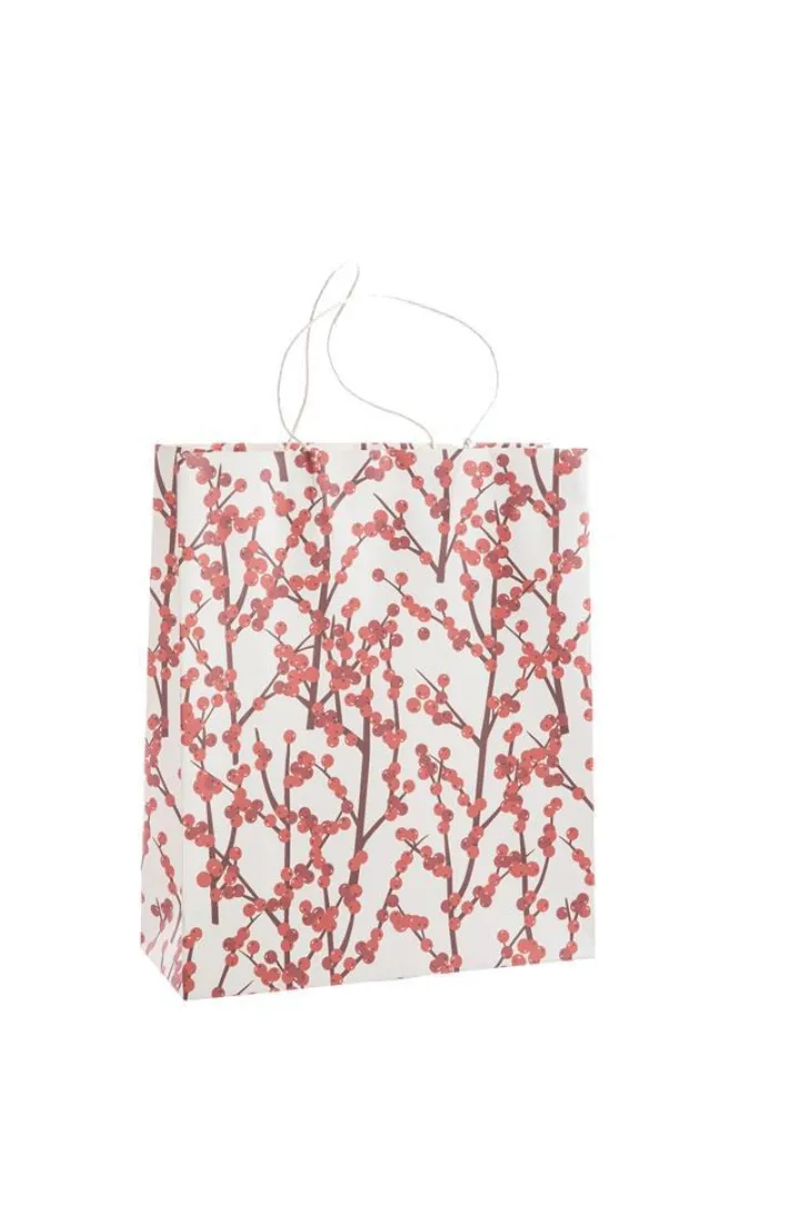 Sac cadeau baies coloris multicolore en papier - 35,5 x 35,5 x 15 cm