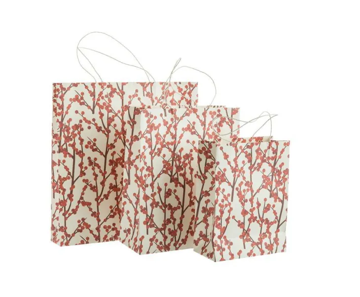 Sac cadeau baies coloris multicolore en papier - 35,5 x 35,5 x 15 cm