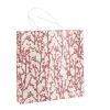 Sac cadeau baies coloris multicolore - 30,5 x 25 x 10 cm