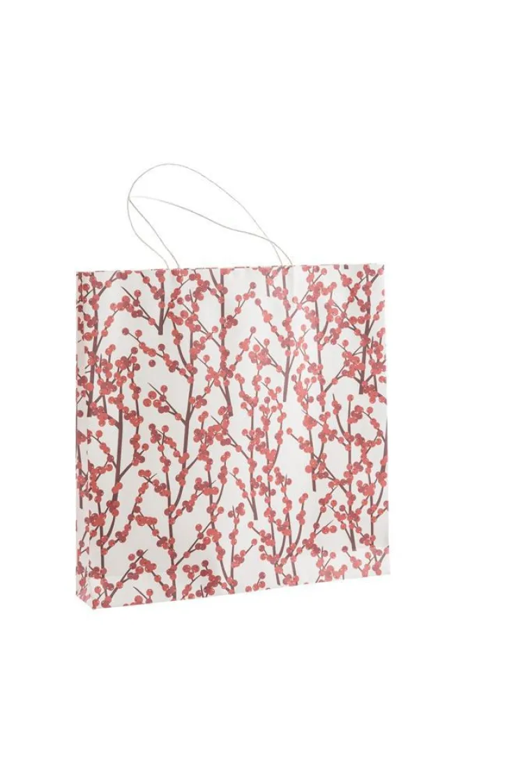 Sac cadeau baies coloris multicolore - 30,5 x 25 x 10 cm