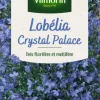 Sachet de Lobelia Crystal Palace Blue