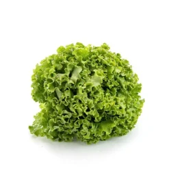 Salade batavia bio de France - Prix à la pièce