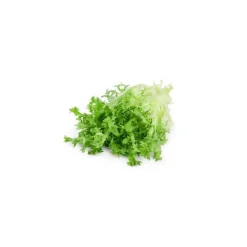 Salade frisée bio de France - Prix à la pièce