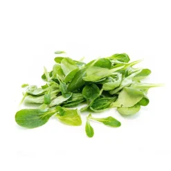 Salade mâche bio de France en Barquette de 100g - Prix à la pièce