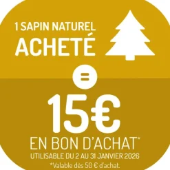 Sapin de Noël naturel coupé Nobilis