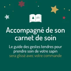 Sapin de Noël naturel coupé Épicéa - de 125 à 150 cm