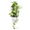 Scindapsus Trébie avec tuteur mousse pot Ø21xH90 cm