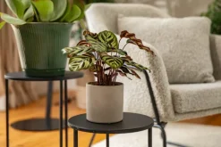 Sellette ronde en métal noir Quinty taille 3 - Ø 50 x H 50 cm