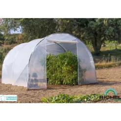 Serre de jardin en plastique transparente 6m² - 2 x 3 m
