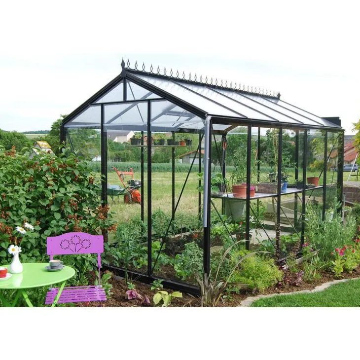 Serre prestige R205H Rétro noir model d’action