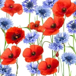 Serviettes x20 3 plis 24x24 cm Summerfield