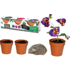 Set de 3 pots en bambou avec graines et terre Planète Plante - 9,5 cm