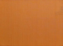 Set de table canna coloris orange en coton - 33 x 45 cm