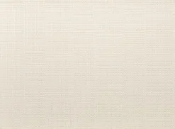 Set de table neige/argent en PVC tissé Canna - 33 x 45 cm