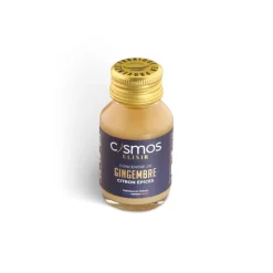 Shot energy bio Cosmos gingembre citron - 52 ml
