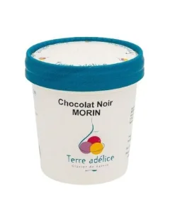Sorbet chocolat noir Terre Adélice - Pot de 120 ml