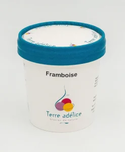Sorbet framboise Terre Adélice - Pot de 120 ml