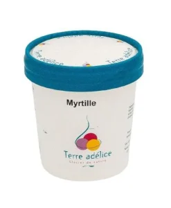 Sorbet myrtille sauvage Terre Adélice - Pot de 120 ml