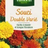 Souci Double varié Vilmorin - graines à semer