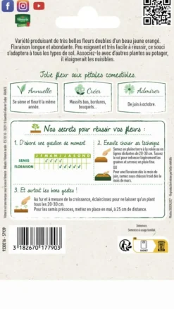 Souci Nain Fiesta Gitana Vilmorin - graines à semer